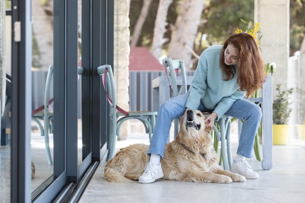 Best Dog Breeds With Long Lifespans