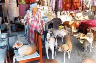Delhi: At Amma’s famous dog centre, rise in abandoned pets even as funds dry up