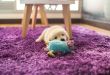 A Guide To Choosing Safe Chew Toys For Dogs