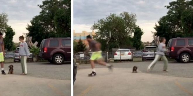 Couple shares hilarious viral video challenge to find out which person your dog loves best