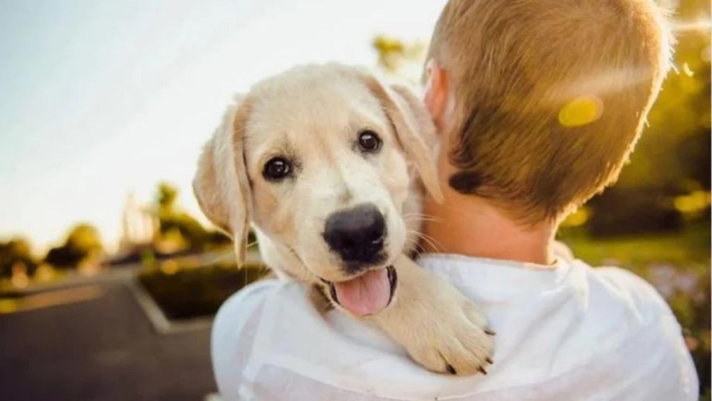 Dog Arrested With Owner For Breaking Covid Protocol In Indore