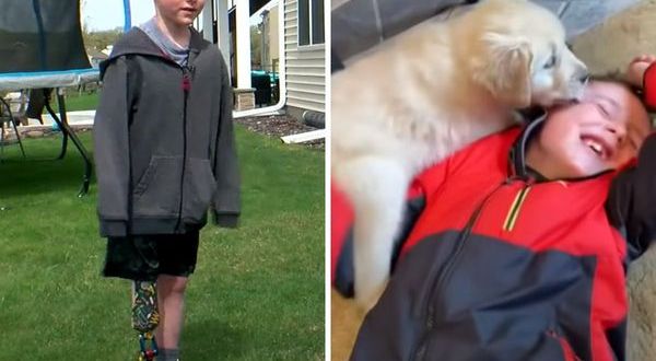 Heartwarming: Boy with prosthetic legs finds best friend in dog born without paw