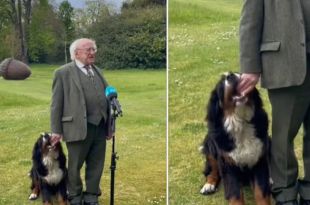 Irish President’s dog interrupts official address
