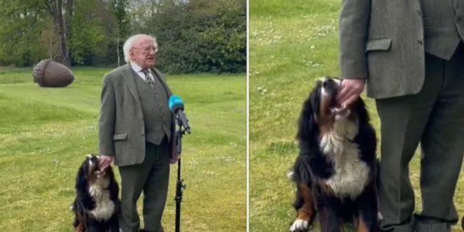 Irish President’s dog interrupts official address