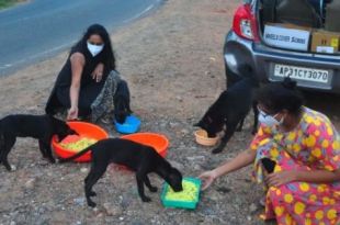 Now, feeding stray dogs is full-time responsibility for this woman in Visakhapatnam