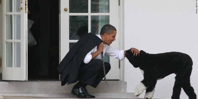 Obamas announce family dog Bo has died