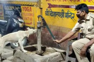 Varanasi Cop Hailed as 'Good Man' for Feeding Water to Stray Dog from Handpump in Viral Photo