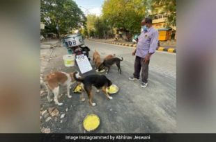 This Man From Nagpur Is Feeding 150 Dogs Daily For Last 11 Years