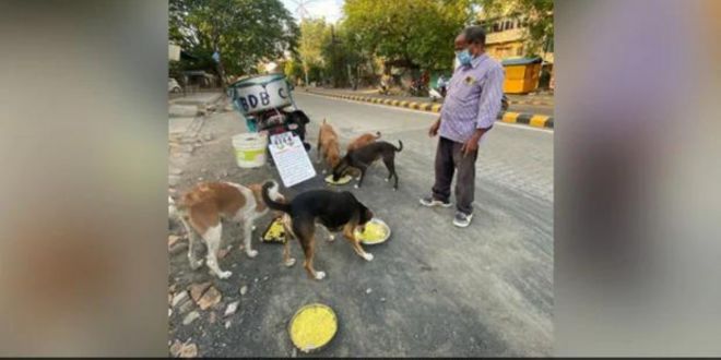 This Man From Nagpur Is Feeding 150 Dogs Daily For Last 11 Years