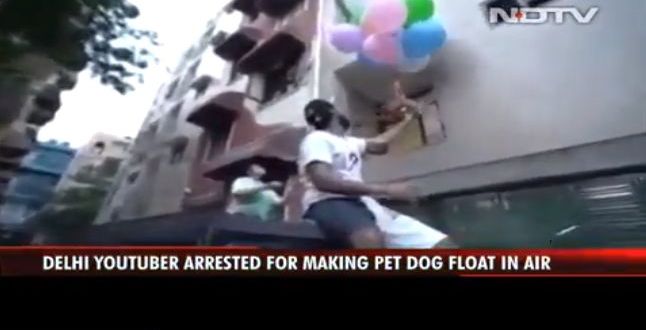 Delhi YouTuber Arrested For Video Of 'Flying Dog'