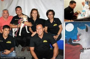 Philippines: Hero Dog 'Kabang' That Saved Two Girls From Bike Accident, Dies Aged 13