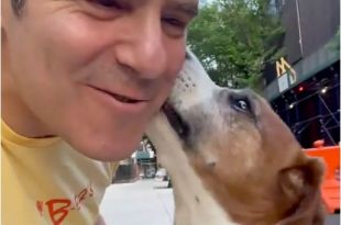 Andy Cohen Reunites with 'Beautiful' Dog Wacha 1 Year After Placing Him in Another Home