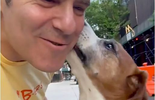 Andy Cohen Reunites with 'Beautiful' Dog Wacha 1 Year After Placing Him in Another Home