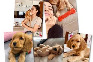 Rashmika Mandanna writes heartfelt post about her pet dog Aura: 'I found my bundle of joy'