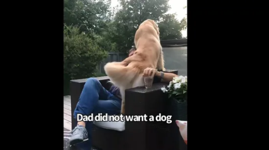 This is how a dad interacts with a dog he didn’t want. Cute video goes viral