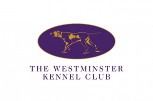 THE 145th ANNUAL WESTMINSTER KENNEL CLUB DOG SHOW WILL NOW HAPPEN IN JUNE 2021