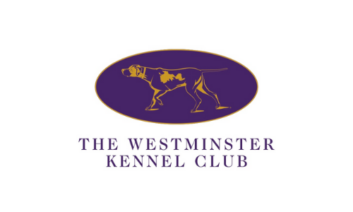 THE 145th ANNUAL WESTMINSTER KENNEL CLUB DOG SHOW WILL NOW HAPPEN IN JUNE 2021
