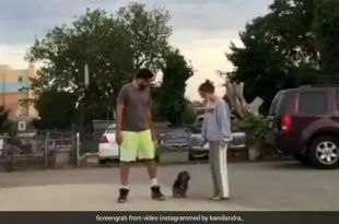 Viral Video: Dog's Reaction To "Run In Opposite Directions" Challenge Has Twitter In Splits