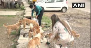 Girls from Jammu and Kashmir’s Udhampur feed stray dogs amid lockdown