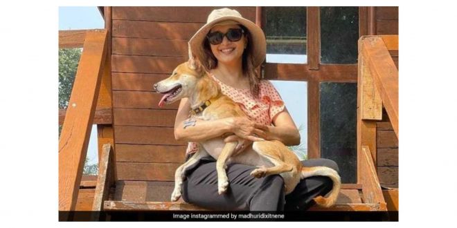 This Is How Madhuri Dixit's Pet Pooch Greets Her When She Returns Home. Dog Moms Will Relate