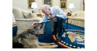 President Biden's Dog Champ Dies