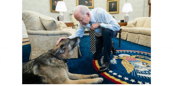 President Biden's Dog Champ Dies