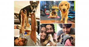 Fathers Day 2021: Meet the dog daddies of Bollywood