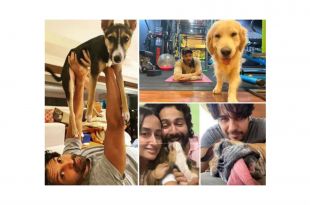Fathers Day 2021: Meet the dog daddies of Bollywood
