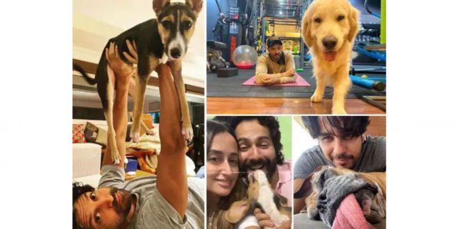 Fathers Day 2021: Meet the dog daddies of Bollywood