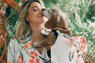 Badgley Mischka Launches Collection for Dogs