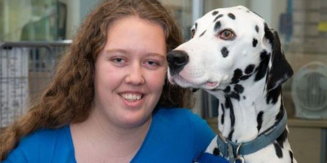 Nottingham woman trains pet as first Dalmatian support dog