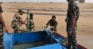 Dog stranded on Odisha river island rescued