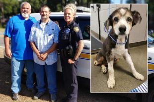 Good Samaritan recognized for helping rescue 16-year-old dog abandoned in Westside dumpster