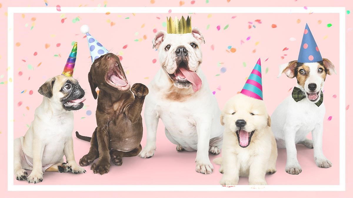 Throw A Pupper Party