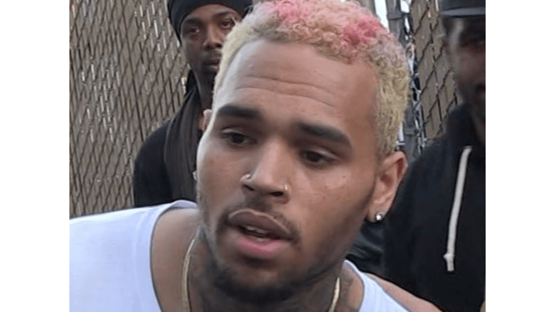Housekeeper of Chris Brown sues him: Claims malicious dog attack on her