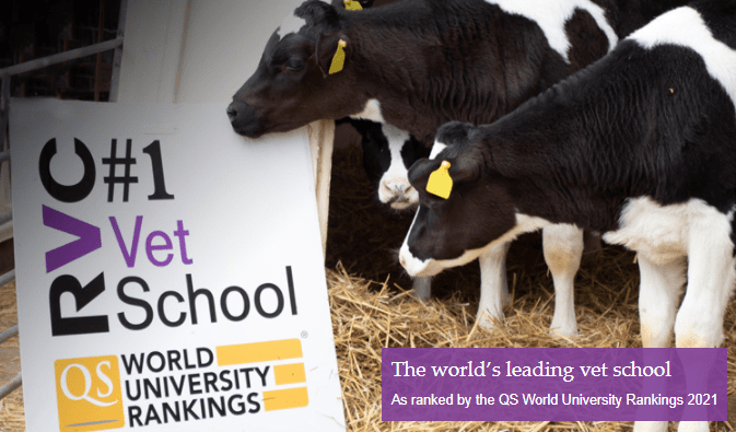 Best Veterinary Schools in the World — University Rankings 2021 | DogExpress