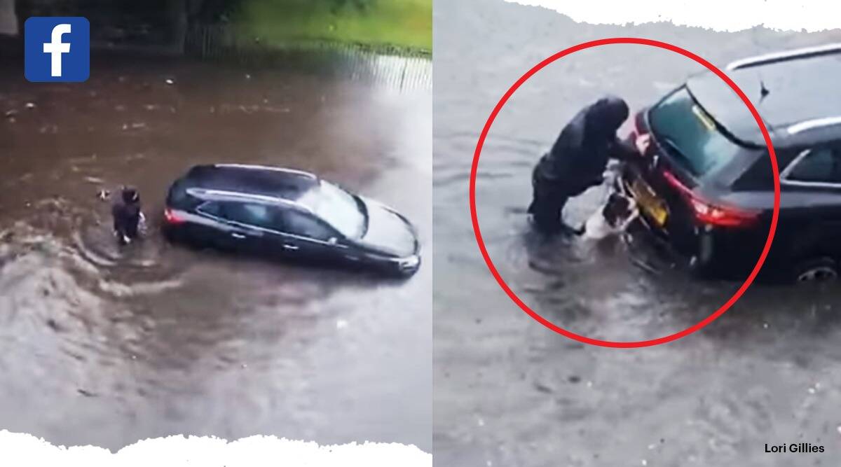 Dog Helps Owner Push Car In Glasgow Floods