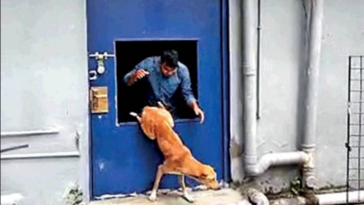 Cops Break Open The Door To Rescue Stranded Dog In Kolkata