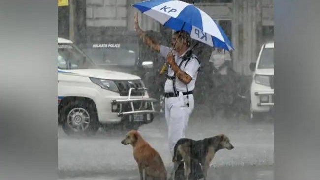 Kolkata Traffic Policeman shelters dogs from heavy rains