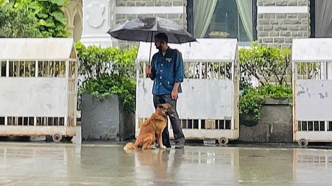 Ratan Tata Posts A Picture Of A Man Shielding A Stray Dog