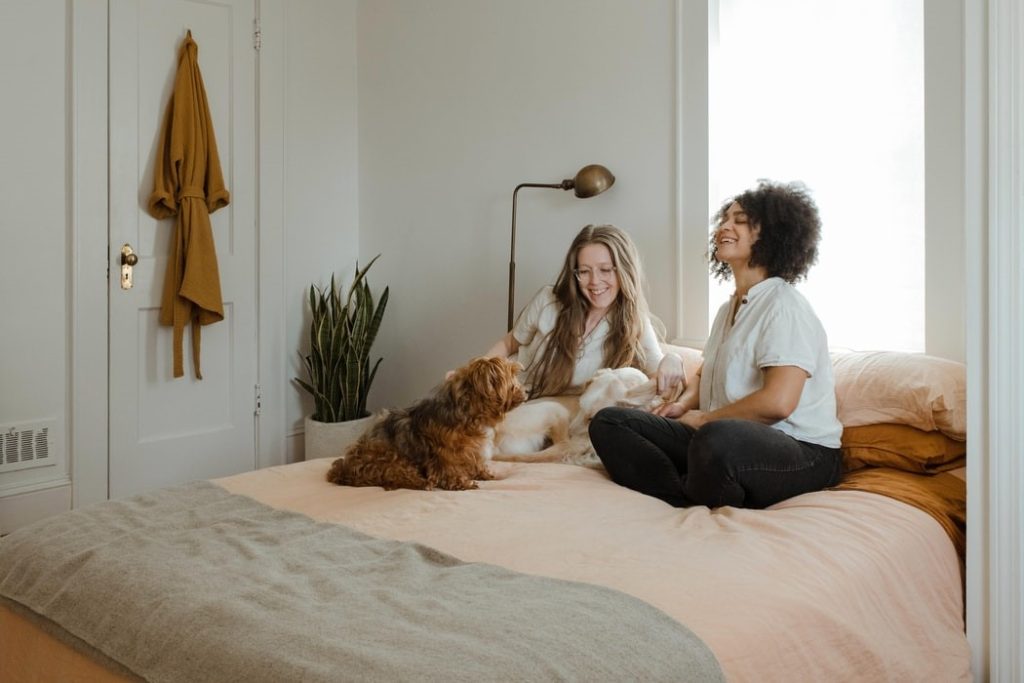Tips For Pets And Family Safety During The Summer