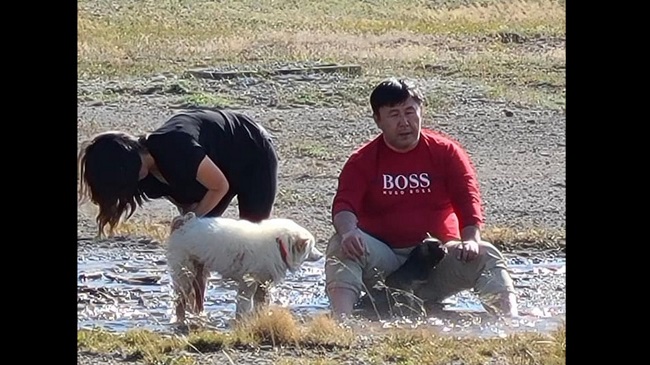 Tourist In Yellowstone National Park, US, Washes Dog Illegally in Thermal Water