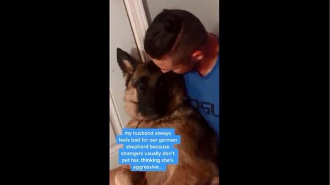 Watch How Man Comforts His Big Dog, Its Reaction At The End