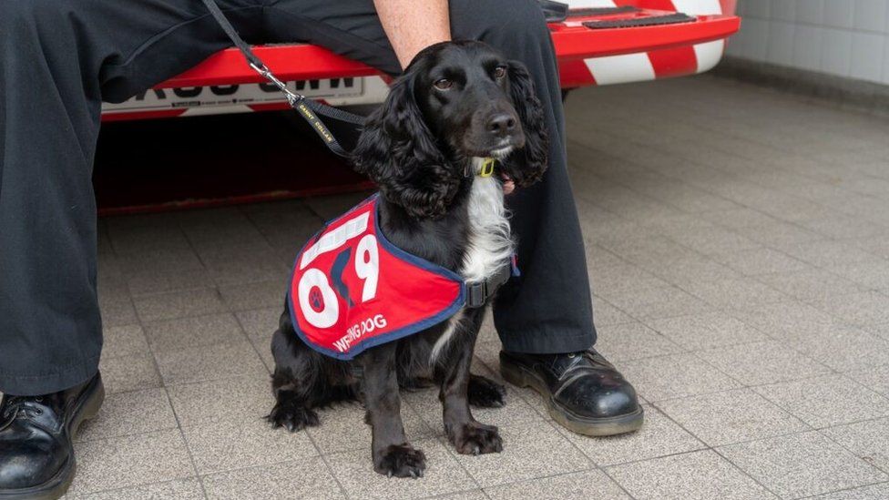 Dog Helps Relieve Stress Of Northamptonshire Fire Fighters