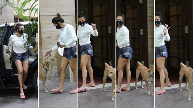 Malaika Arora plays with a street dog in Bandra