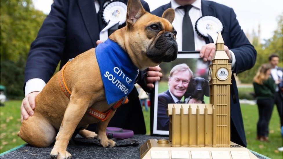 Pet of Sir David Amess named Westminster Dog of the Year