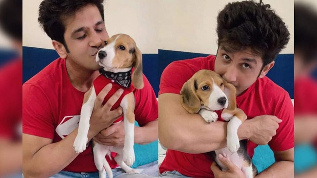 TV Actor Malhar Pandya Adopts A Cute Dog