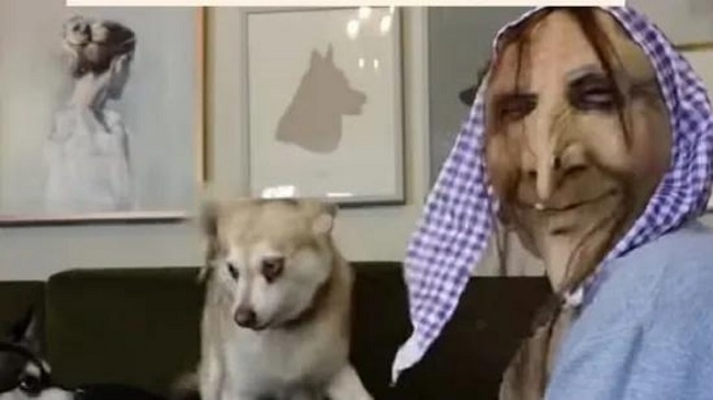 Watch This Funny Clip Of A Woman Trying To Scare Her Dogs