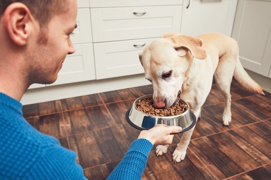 how to prepare the best dog food at home