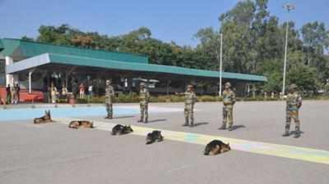 14 New Sniffers to Join India’s Wildlife Dog Force